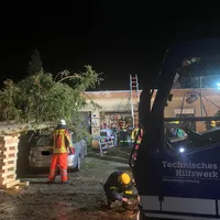 Baum auf Haus4.jpg