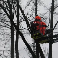 20170113sturmschaden07.jpg