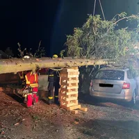 Baum auf Haus6.jpg