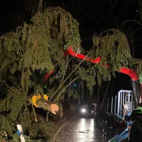 Unwetter3.jpg